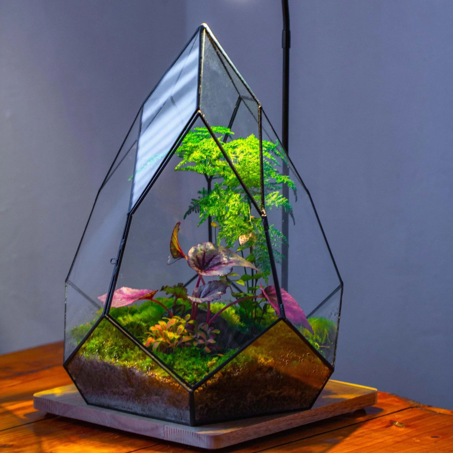 Large 16" Tall And Wide Teardrop Tin And Glass Terrarium, Close, With Door 3 Large 16" Tall And Wide Teardrop Tin And Glass Terrarium, Close, With Door - Image 3