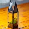 Mini Tall House Shape Jumping Spider Terrarium
