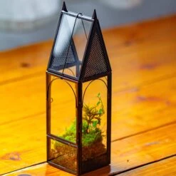 Mini Tall House Shape Jumping Spider Terrarium