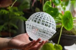 Environment Friendly Detachable Plastic Ball For Easy Moss Ball, Hanging Planters, Wall Mounted Planting Idea, Suitable For Orchid, Staghorn Fern 30 Sets -Glass Plant Store IMG 1634