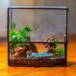 Handmade 7x7 Inches Watertight Glass Terrarium With Door, For Moss