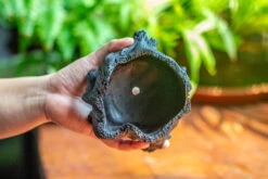 Small Black Tree Stump Like Planter, For Terrarium, Microlandscape -Glass Plant Store IMG 1963