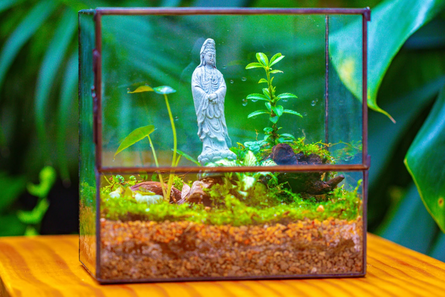 7x7 Inches Glass Terrarium With Side Door, For Moss 3 7x7 Inches Glass Terrarium With Side Door, For Moss - Image 3
