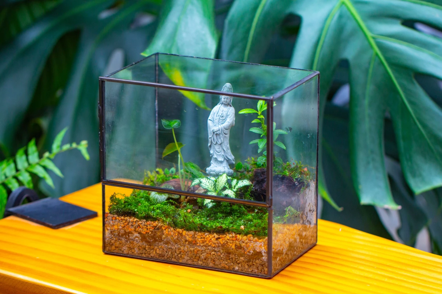 7x7 Inches Glass Terrarium With Side Door, For Moss 4 7x7 Inches Glass Terrarium With Side Door, For Moss - Image 4