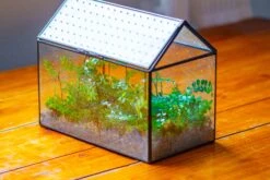 Handmade Close House-shaped Glass Terrarium Enclosure, With Acrylic Mesh Vent, For Jumping Spider, Snail Habitat, Terrarium Only -Glass Plant Store IMG 2025