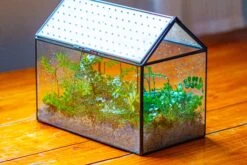 Handmade Close House-shaped Glass Terrarium Enclosure, With Acrylic Mesh Vent, For Jumping Spider, Snail Habitat, Terrarium Only -Glass Plant Store IMG 2026
