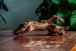 Natural Driftwood For Moss Terrarium, Miniature, Micro Landscape, Unique 12-65, Suitable For Both Live And Preserved Moss -Glass Plant Store IMG 2057