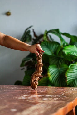 Natural Driftwood For Moss Terrarium, Miniature, Micro Landscape, Unique 12-57, Suitable For Both Live And Preserved Moss -Glass Plant Store IMG 2096