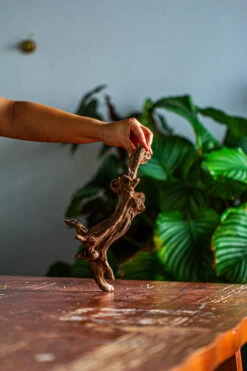 Natural Driftwood For Moss Terrarium, Miniature, Micro Landscape, Unique 12-44, Suitable For Both Live And Preserved Moss -Glass Plant Store IMG 2101