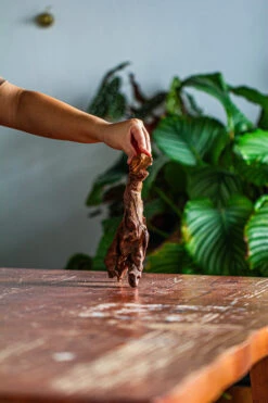 Natural Driftwood For Moss Terrarium, Miniature, Micro Landscape, Unique 12-59, Suitable For Both Live And Preserved Moss -Glass Plant Store IMG 2104