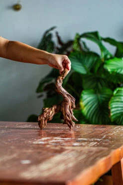 Natural Driftwood For Moss Terrarium, Miniature, Micro Landscape, Unique 12-59, Suitable For Both Live And Preserved Moss -Glass Plant Store IMG 2105