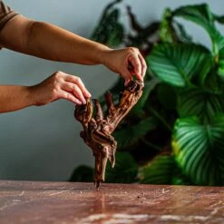 Natural Driftwood For Moss Terrarium, Miniature, Micro Landscape, Unique 12-35, Suitable For Both Live And Preserved Moss