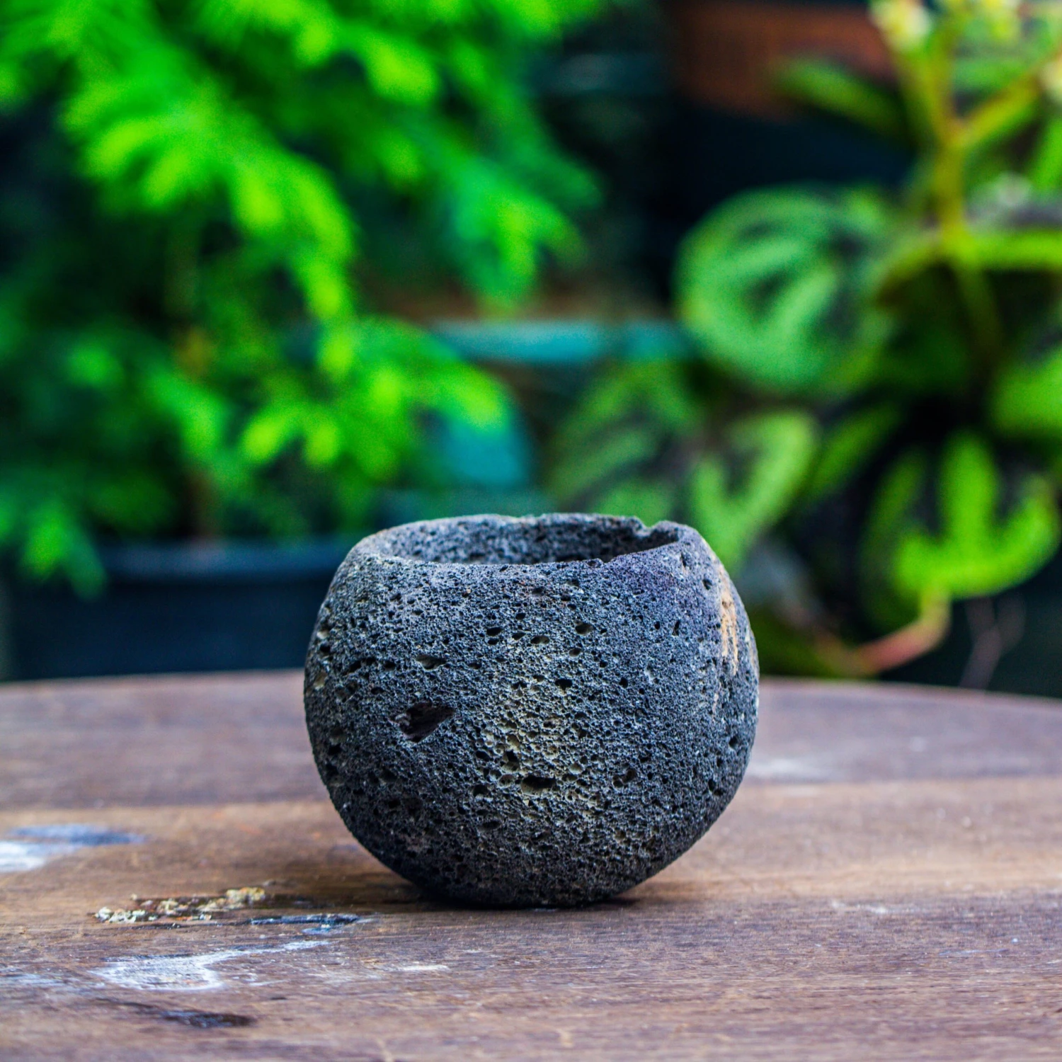 3 Units 8cm / 3.1" Round Black Horticultural Lava Rock Volcanic Rock Planter For Succulents, Moss, Tropical Palants, Terrariums 2 3 Units 8cm / 3.1" Round Black Horticultural Lava Rock Volcanic Rock Planter For Succulents, Moss, Tropical Palants, Terrariums - Image 2