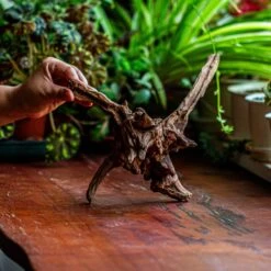 Natural Driftwood For Moss Terrarium, Miniature, Micro Landscape, Unique 12-5, Suitable For Both Live And Preserved Moss