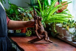 Natural Driftwood For Moss Terrarium, Miniature, Micro Landscape, Unique 12-27, Suitable For Both Live And Preserved Moss -Glass Plant Store IMG 2315