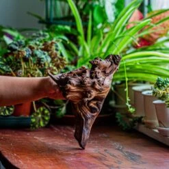 Natural Driftwood For Moss Terrarium, Miniature, Micro Landscape, Unique 12-14, Suitable For Both Live And Preserved Moss