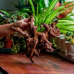 Natural Driftwood For Moss Terrarium, Miniature, Micro Landscape, Unique 12-21, Suitable For Both Live And Preserved Moss