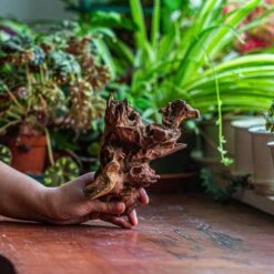 Natural Driftwood For Moss Terrarium, Miniature, Micro Landscape, Unique 12-52, Suitable For Both Live And Preserved Moss