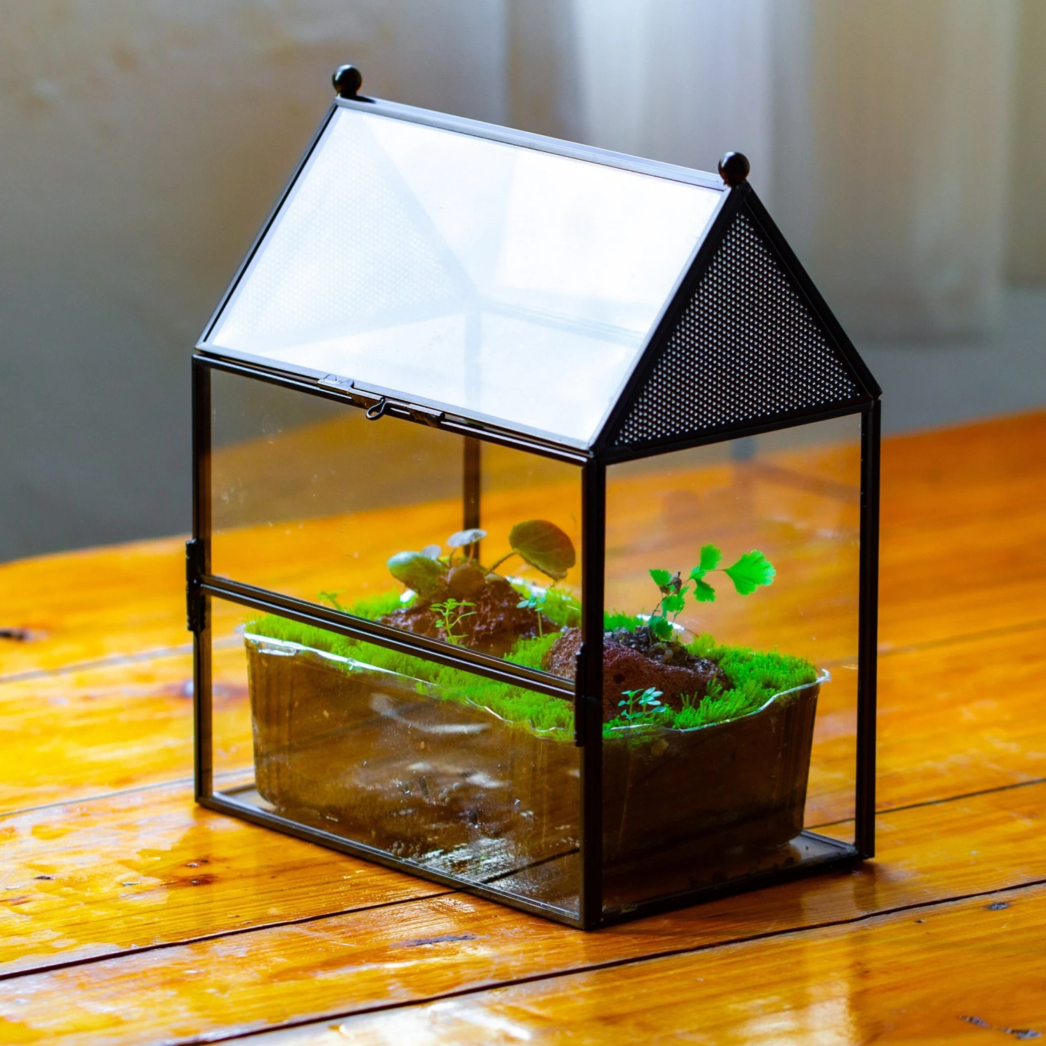 NCYP Simplified House Shape Glass Geometric Terrarium, With Side Door, With Mesh Vent Holes For Small Insects Pet 1 NCYP Simplified House Shape Glass Geometric Terrarium, With Side Door, With Mesh Vent Holes For Small Insects Pet