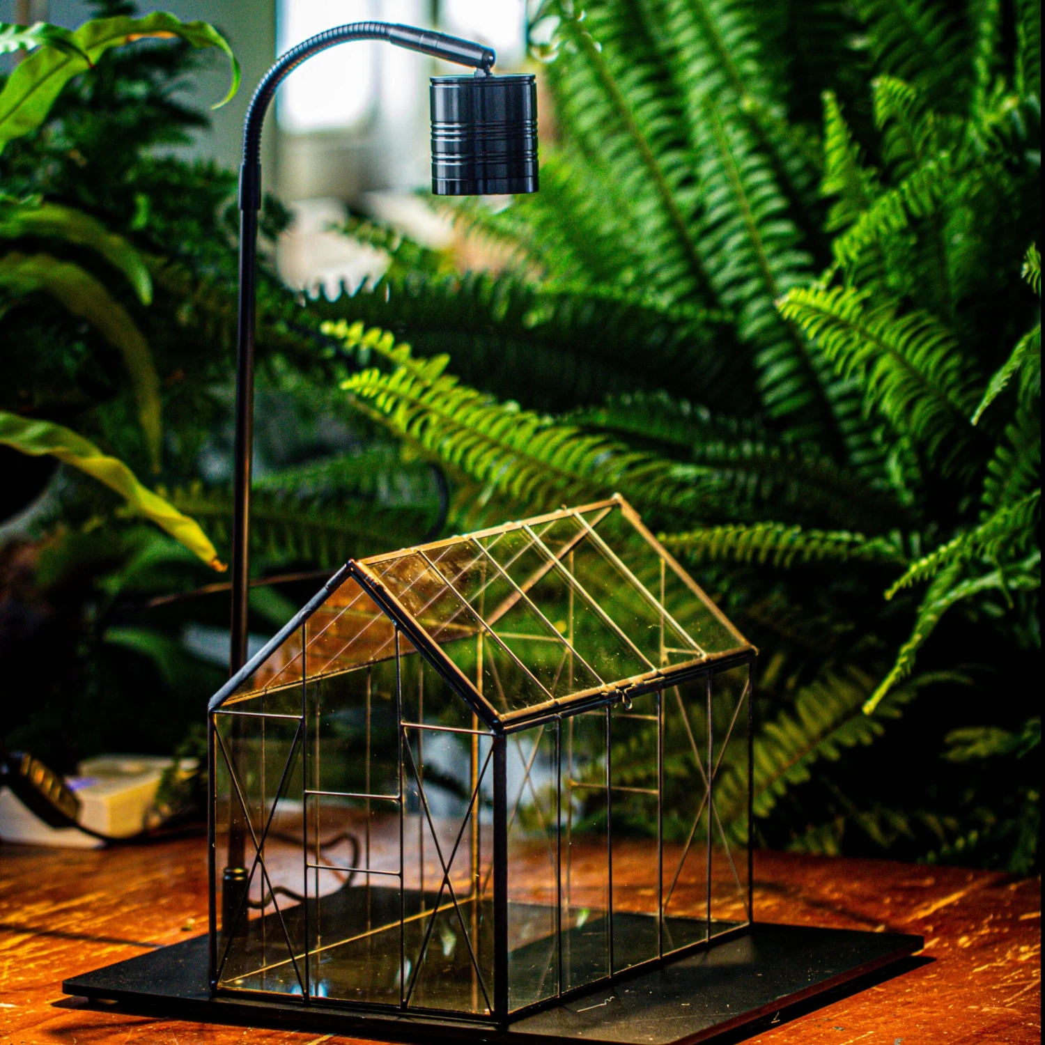 Handmade Vintage Greenhouse Inspired Tin Terrarium With LED Grow Light Set, Closed Glass Planter Set 1 Handmade Vintage Greenhouse Inspired Tin Terrarium With LED Grow Light Set, Closed Glass Planter Set