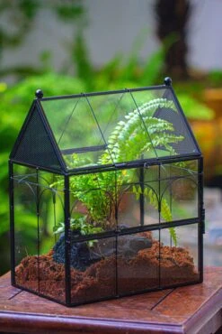 NCYP Vintage House Shape Glass Geometric Terrarium, With Side Door, With Mesh / Vent Holes For Small Insects Pet Building Set 23 NCYP Vintage House Shape Glass Geometric Terrarium, With Side Door, With Mesh / Vent Holes For Small Insects Pet Building Set -Glass Plant Store IMG 3357