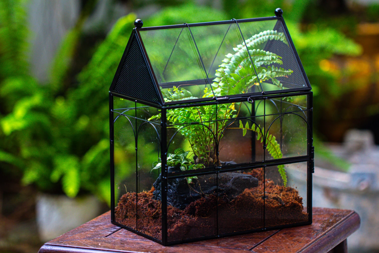 NCYP Vintage House Shape Glass Geometric Terrarium, With Side Door, With Mesh / Vent Holes For Small Insects Pet Building Set 5 NCYP Vintage House Shape Glass Geometric Terrarium, With Side Door, With Mesh / Vent Holes For Small Insects Pet Building Set - Image 5