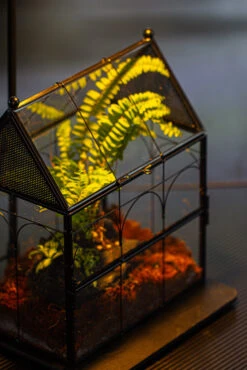 NCYP Vintage House Shape Glass Geometric Terrarium, With Side Door, With Mesh / Vent Holes For Small Insects Pet Building Set 38 NCYP Vintage House Shape Glass Geometric Terrarium, With Side Door, With Mesh / Vent Holes For Small Insects Pet Building Set -Glass Plant Store IMG 3370