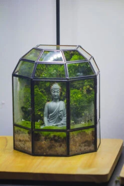 Half Dome Geometric Glass Terrarium, Close, Succulents Planter Pot Miniature Landscape Bonsai Container 26 Half Dome Geometric Glass Terrarium, Close, Succulents Planter Pot Miniature Landscape Bonsai Container -Glass Plant Store IMG 3372