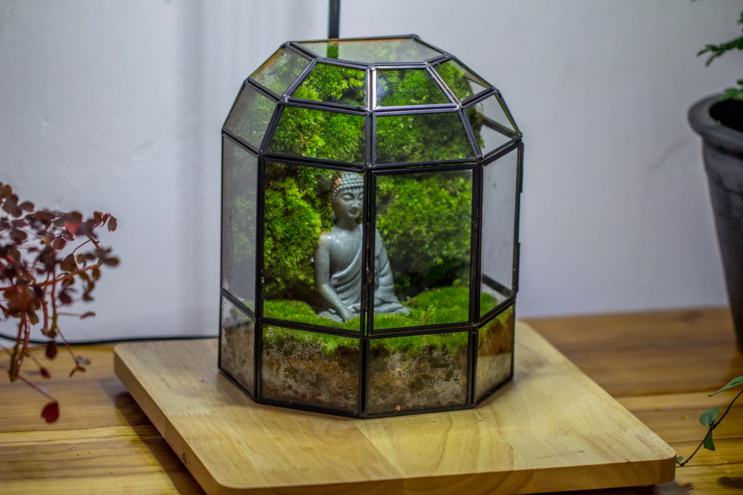 Half Dome Geometric Glass Terrarium, Close, Succulents Planter Pot Miniature Landscape Bonsai Container 8 Half Dome Geometric Glass Terrarium, Close, Succulents Planter Pot Miniature Landscape Bonsai Container - Image 8