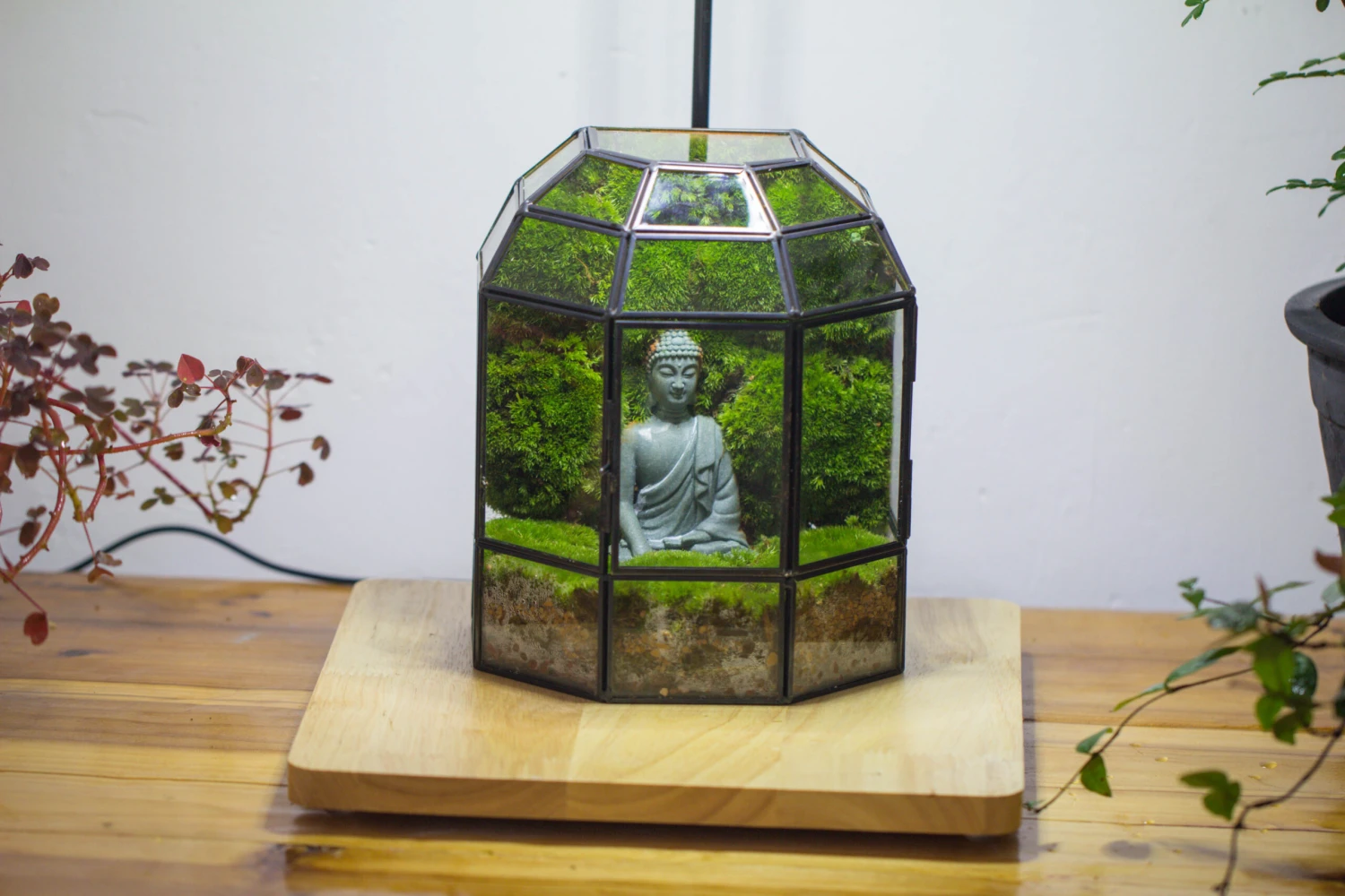 Half Dome Geometric Glass Terrarium, Close, Succulents Planter Pot Miniature Landscape Bonsai Container 9 Half Dome Geometric Glass Terrarium, Close, Succulents Planter Pot Miniature Landscape Bonsai Container - Image 9