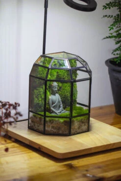 Half Dome Geometric Glass Terrarium, Close, Succulents Planter Pot Miniature Landscape Bonsai Container 29 Half Dome Geometric Glass Terrarium, Close, Succulents Planter Pot Miniature Landscape Bonsai Container -Glass Plant Store IMG 3377 2