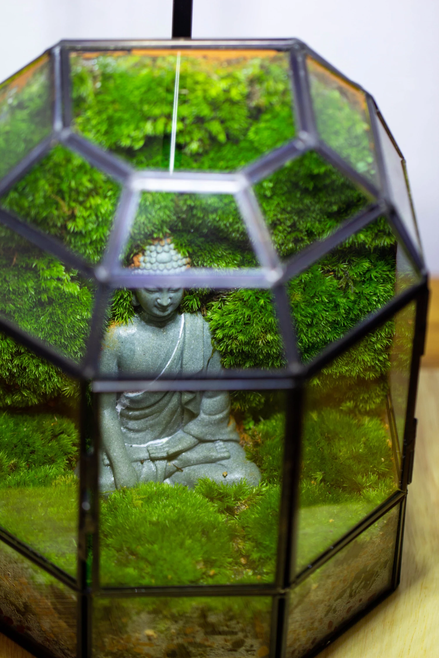 Half Dome Geometric Glass Terrarium, Close, Succulents Planter Pot Miniature Landscape Bonsai Container 6 Half Dome Geometric Glass Terrarium, Close, Succulents Planter Pot Miniature Landscape Bonsai Container - Image 6