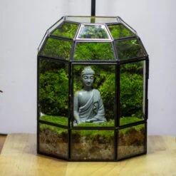 Half Dome Geometric Glass Terrarium, Close, Succulents Planter Pot Miniature Landscape Bonsai Container 23 Half Dome Geometric Glass Terrarium, Close, Succulents Planter Pot Miniature Landscape Bonsai Container -Glass Plant Store IMG 3381 2