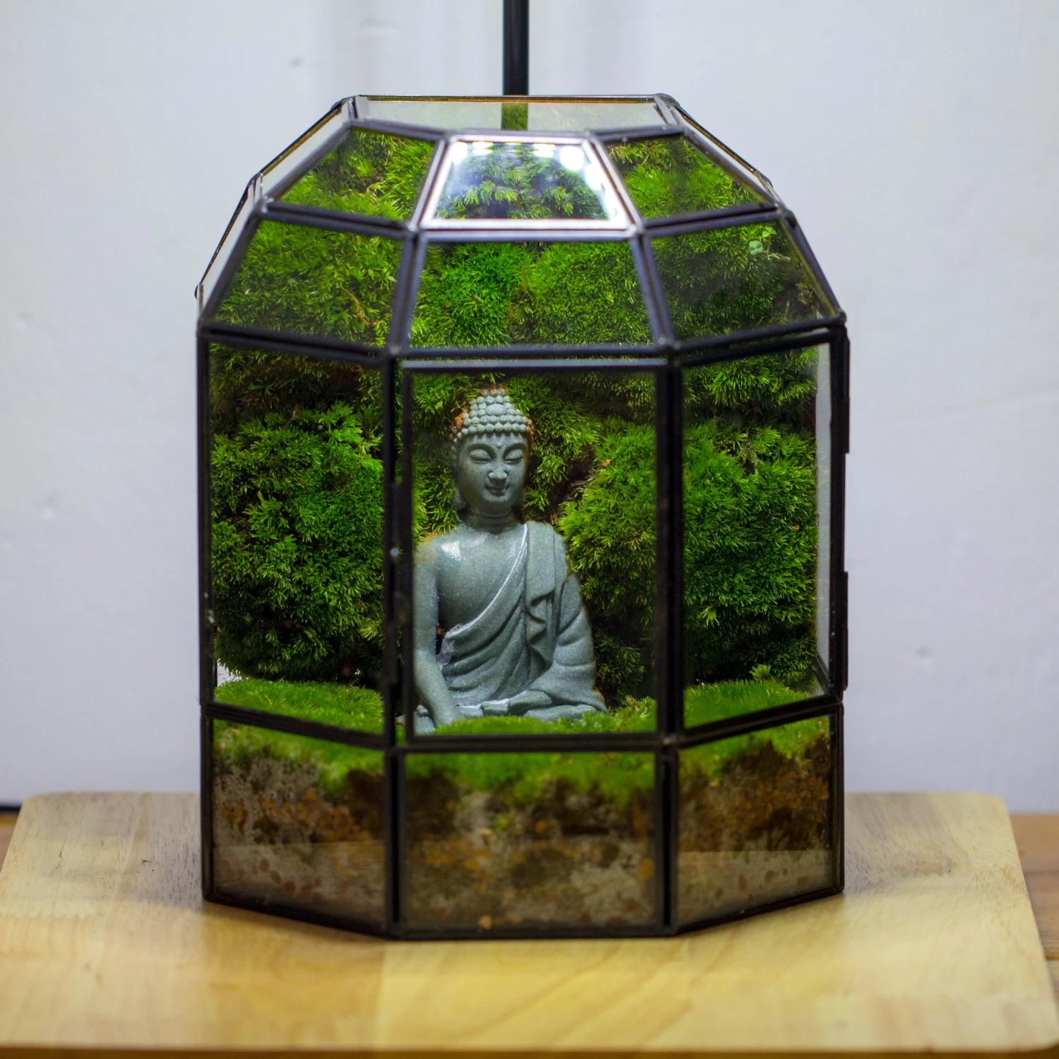 Half Dome Geometric Glass Terrarium, Close, Succulents Planter Pot Miniature Landscape Bonsai Container 5 Half Dome Geometric Glass Terrarium, Close, Succulents Planter Pot Miniature Landscape Bonsai Container - Image 5