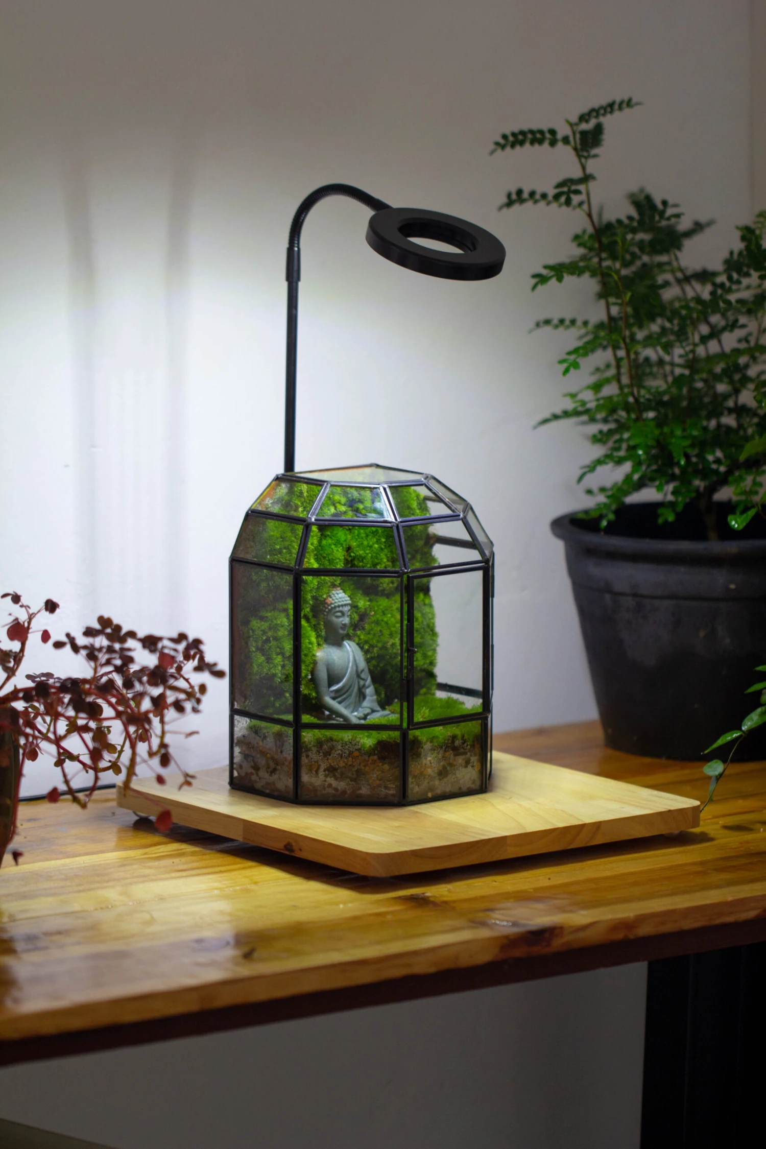 Half Dome Geometric Glass Terrarium, Close, Succulents Planter Pot Miniature Landscape Bonsai Container 12 Half Dome Geometric Glass Terrarium, Close, Succulents Planter Pot Miniature Landscape Bonsai Container - Image 12