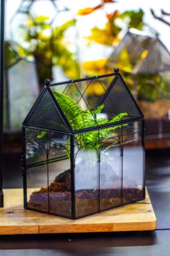 NCYP Vintage House Shape Glass Geometric Terrarium, With Side Door, With Mesh / Vent Holes For Small Insects Pet Building Set 28 NCYP Vintage House Shape Glass Geometric Terrarium, With Side Door, With Mesh / Vent Holes For Small Insects Pet Building Set -Glass Plant Store IMG 3444 1