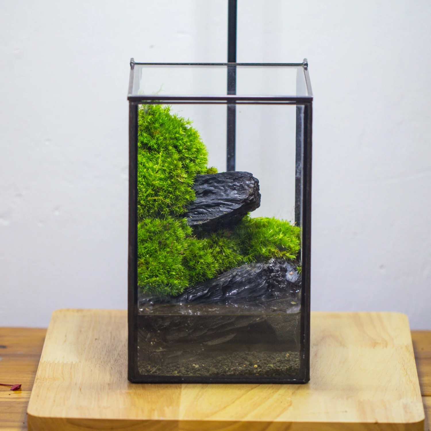 NCYP Watertight Close Geometric Glass Tin Terrarium, For Small Waterpond, Moss Landscape, Live Miniature, Water Pond, Miniature 2 NCYP Watertight Close Geometric Glass Tin Terrarium, For Small Waterpond, Moss Landscape, Live Miniature, Water Pond, Miniature - Image 2