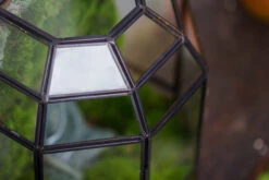 Half Dome Geometric Glass Terrarium, Close, Succulents Planter Pot Miniature Landscape Bonsai Container 32 Half Dome Geometric Glass Terrarium, Close, Succulents Planter Pot Miniature Landscape Bonsai Container -Glass Plant Store IMG 3494