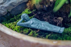 Buddha Bodhisattva Miniature Figurines(Buddha Lying Down) For Terrarium, Bonsai, Miniature, Aquarium, Micro Landscape, 11 Buddha Bodhisattva Miniature Figurines(Buddha Lying Down) For Terrarium, Bonsai, Miniature, Aquarium, Micro Landscape, -Glass Plant Store IMG 3619