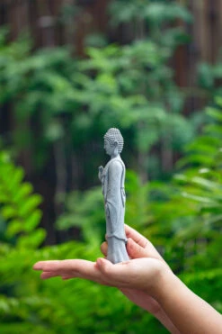 Buddha Bodhisattva Miniature Figurines(standing Buddha ) For Terrarium, Bonsai, Miniature, Aquarium, Micro Landscape, 7 Buddha Bodhisattva Miniature Figurines(standing Buddha ) For Terrarium, Bonsai, Miniature, Aquarium, Micro Landscape, -Glass Plant Store IMG 3644