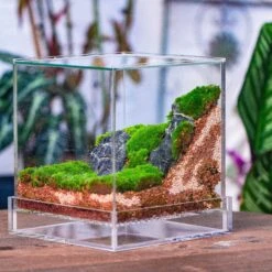 NCYP Acrylic Close Terrarium With Drainage Bottom, Suits For Fly Trap, Pitcher Plants, Moss Ball, Nursery, Small Tropical Plants -Glass Plant Store IMG 3815