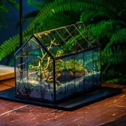 Handmade Vintage Greenhouse Inspired Tin Terrarium With LED Grow Light Set, Closed Glass Planter Set 31 Handmade Vintage Greenhouse Inspired Tin Terrarium With LED Grow Light Set, Closed Glass Planter Set -Glass Plant Store IMG 3827 67a7c986 9f0e 40cd b463 c72bde032b89