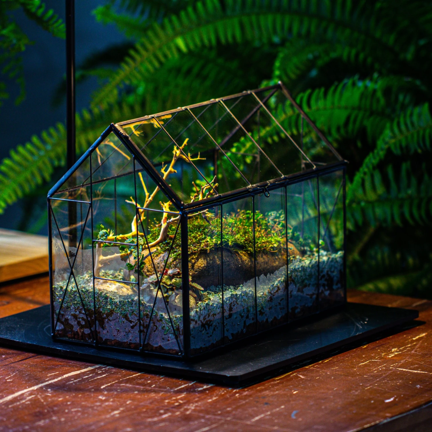 Handmade Vintage Greenhouse Inspired Tin Terrarium With LED Grow Light Set, Closed Glass Planter Set 2 Handmade Vintage Greenhouse Inspired Tin Terrarium With LED Grow Light Set, Closed Glass Planter Set - Image 2