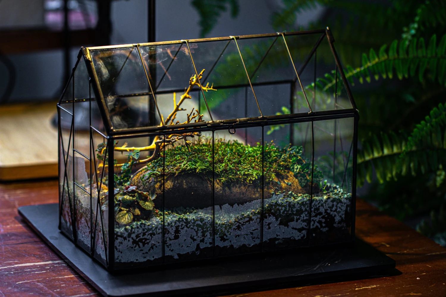 Handmade Vintage Greenhouse Inspired Tin Terrarium With LED Grow Light Set, Closed Glass Planter Set 6 Handmade Vintage Greenhouse Inspired Tin Terrarium With LED Grow Light Set, Closed Glass Planter Set - Image 6
