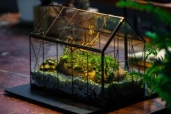 Handmade Vintage Greenhouse Inspired Tin Terrarium With LED Grow Light Set, Closed Glass Planter Set 29 Handmade Vintage Greenhouse Inspired Tin Terrarium With LED Grow Light Set, Closed Glass Planter Set -Glass Plant Store IMG 3835 1d9a6c8a 1945 422d b765 63fbdea09d3d