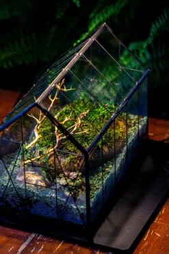 Handmade Vintage Greenhouse Inspired Tin Terrarium With LED Grow Light Set, Closed Glass Planter Set 24 Handmade Vintage Greenhouse Inspired Tin Terrarium With LED Grow Light Set, Closed Glass Planter Set -Glass Plant Store IMG 3840 fe6c07e4 6c0f 46f6 aa5b 1145ca01964d
