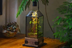 Handmade Glass Terrarium With Wood Base, Geometric Jumping Spider Enclosure, With Mesh Vent, For Plants, Snail, Insects -Glass Plant Store IMG 4217