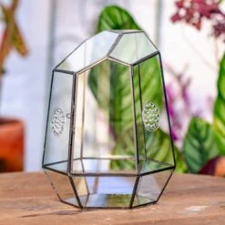 NCYP Close Geometric Tin Glass Terrarium With Door, Vent, Insect Bug Terrarium