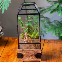 Handmade Glass Terrarium With Wood Base, Geometric Planter With Door, With LED Wood Lamp Base For Plants, Moss Landscapes, Plant Lover Gift