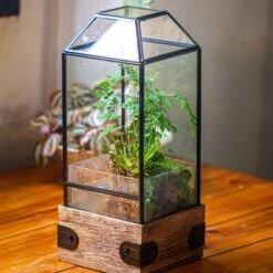Handmade Glass Terrarium With Wood Base, Geometric Planter With Door, With LED Wood Lamp Base For Plants, Moss Landscapes, Plant Lover Gift -Glass Plant Store IMG 4288